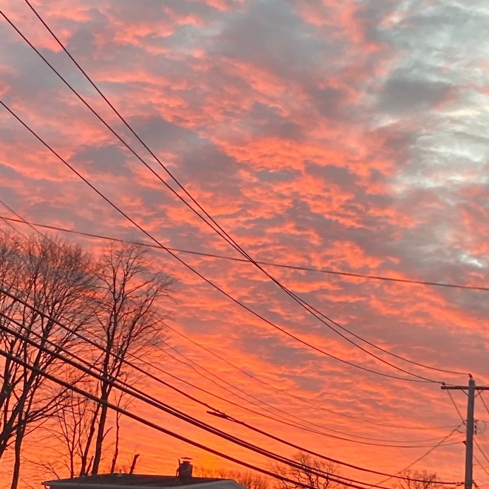 Meet your Posher, Roxy